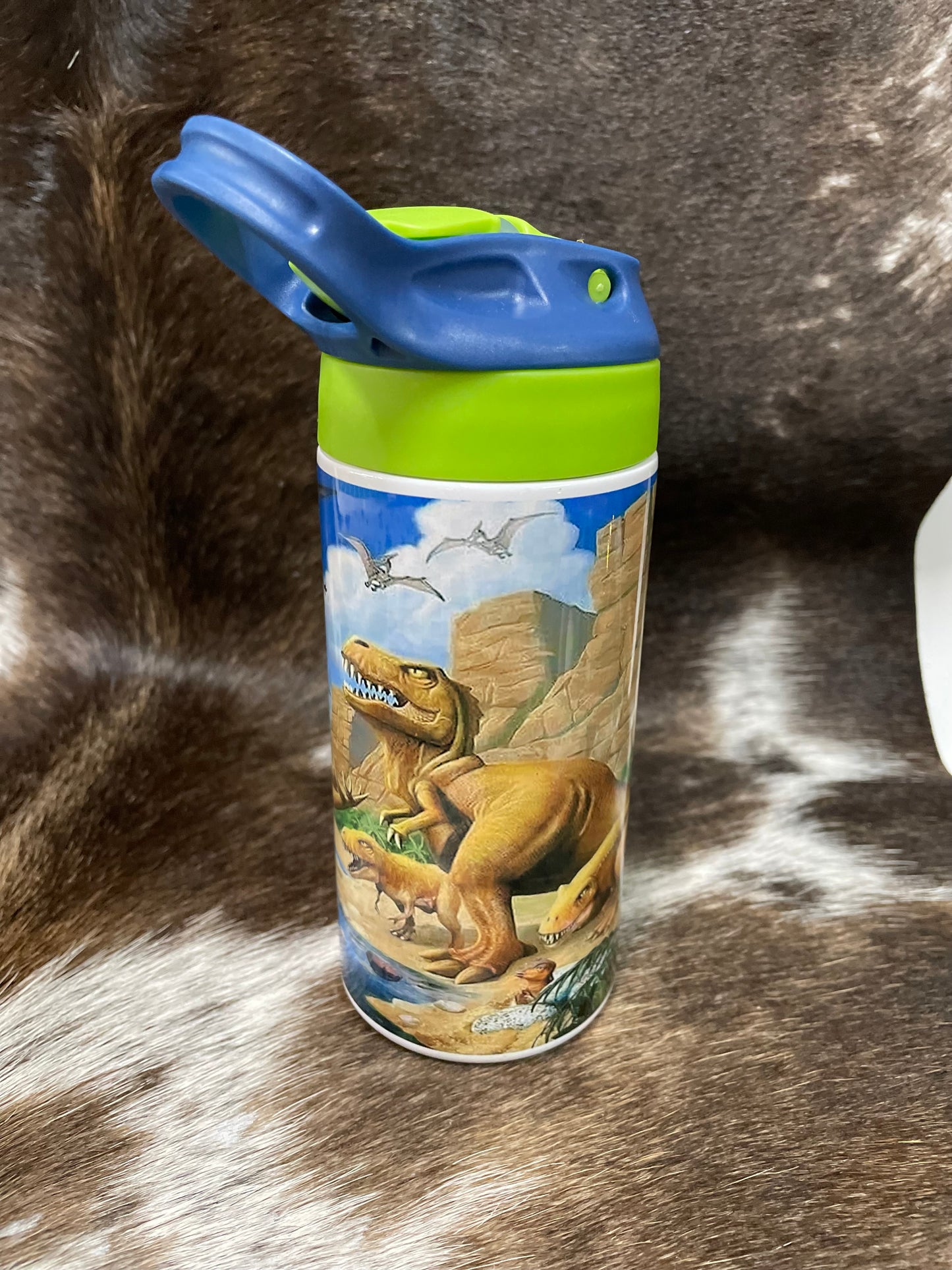 12-ounce double walled stainless steel thermos with dinosaur images.